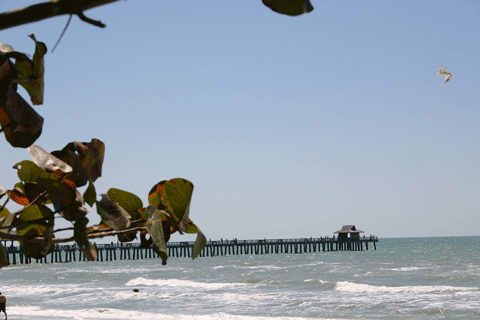 Naples Florida Pier