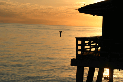 Naples Pier Sunset